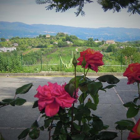 La Dimora Di Radha B&B Centro Olistico Rende Zewnętrze zdjęcie