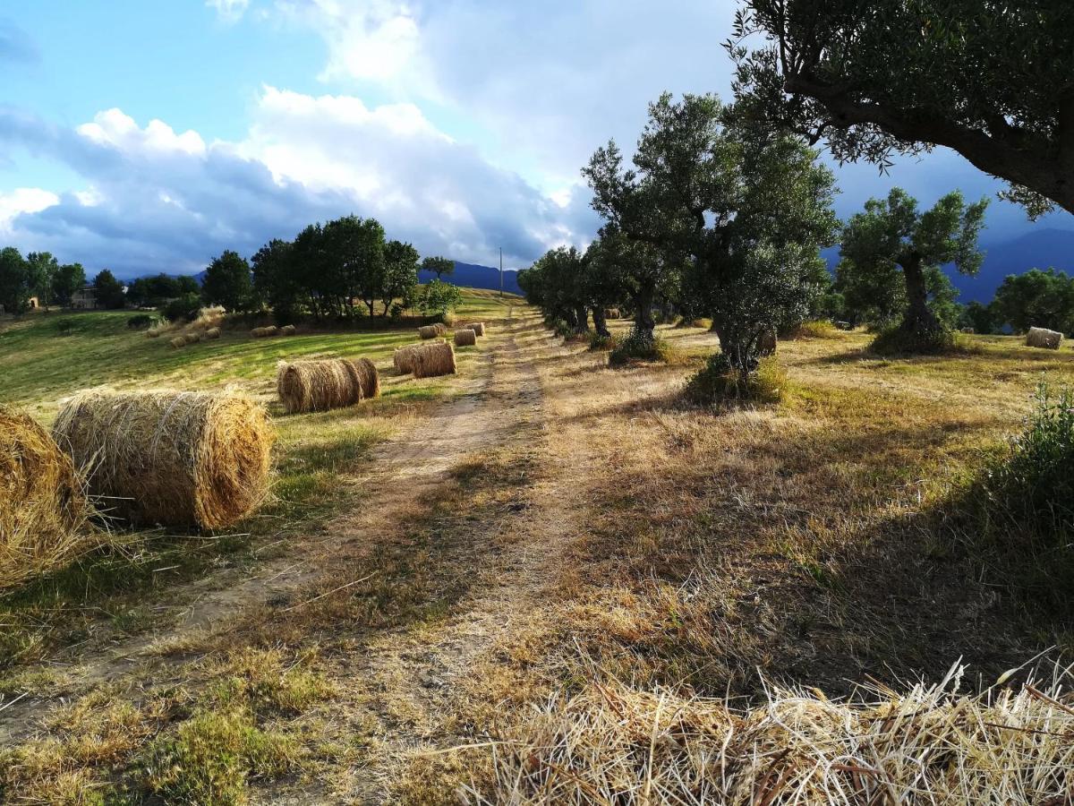 La Dimora Di Radha B&B Centro Olistico Rende Zewnętrze zdjęcie